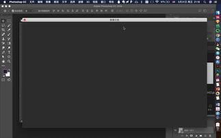 ps液化视频,PS液化技术打造视频特效魅力解析