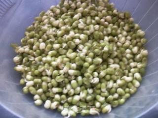 发绿豆芽的方法视频,视频教学助你成功发芽