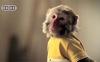 汤达人广告视频,一碗汤，温暖你的味蕾与心灵