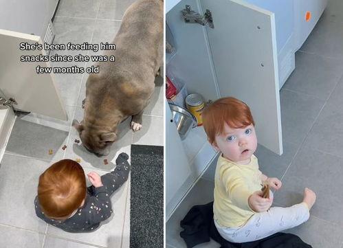 克洛伊布鲁斯视频,揭秘视频背后的故事与魅力