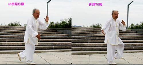 扎西太极拳85式视频,一招一式，传承中华武术精髓