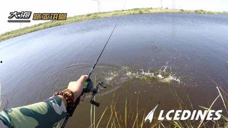 路亚怎么用视频,轻松掌握钓鱼新技能