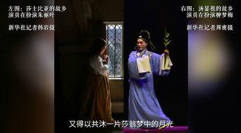 牡丹亭视频,穿越时空的浪漫传奇