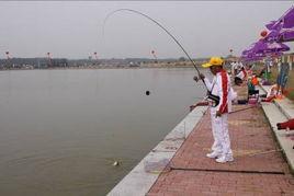 台湾钓鱼视频,一场视觉与文化的盛宴